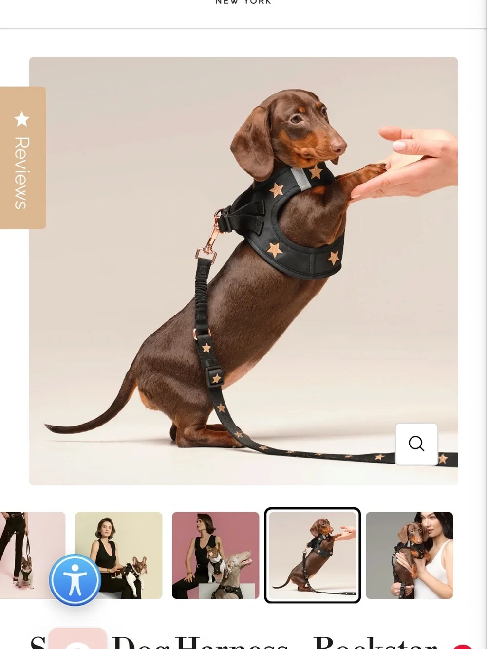 Black Star Embroidered Harness Vest